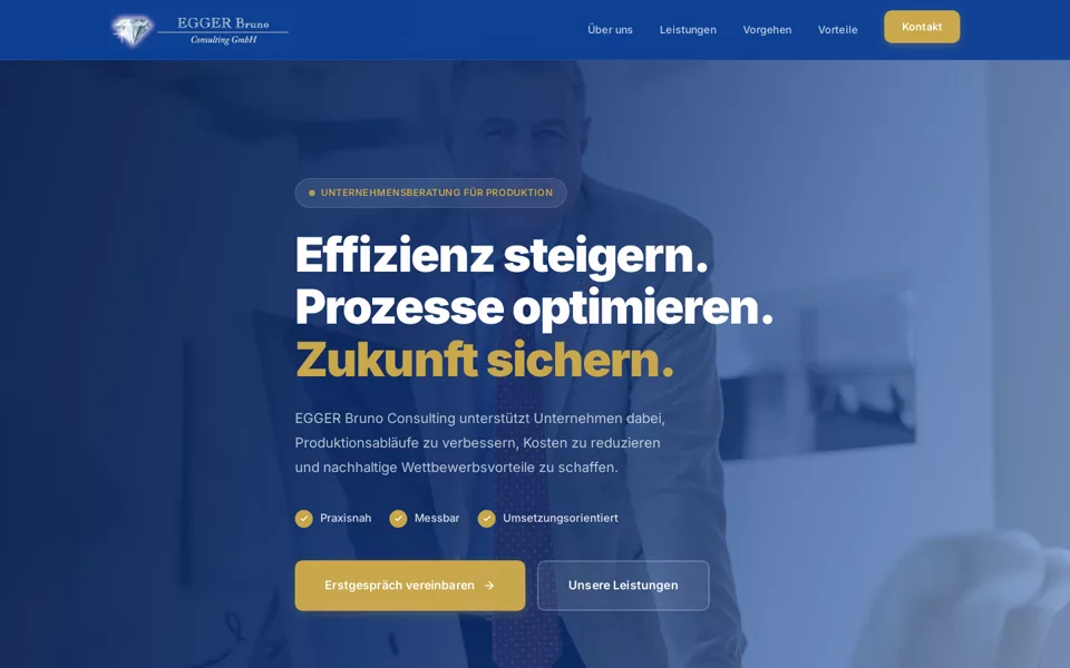 Website-Referenz: EGGER Bruno Consulting